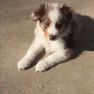 Meet your Posher, Andrew